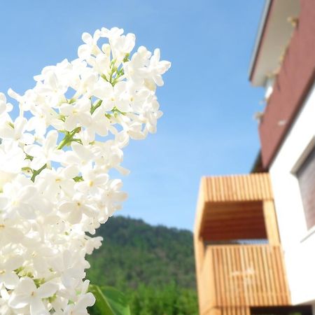 B&B Casa Sul Lago - Appartamenti Calceranica al Lago Chambre photo