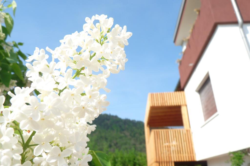 B&B Casa Sul Lago - Appartamenti Calceranica al Lago Chambre photo
