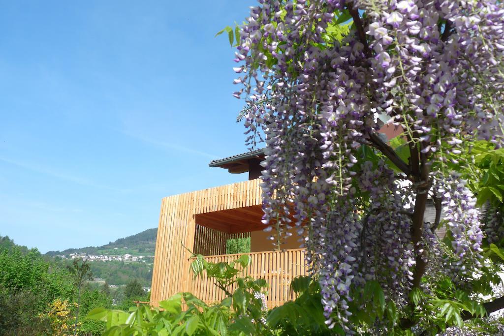 B&B Casa Sul Lago - Appartamenti Calceranica al Lago Extérieur photo