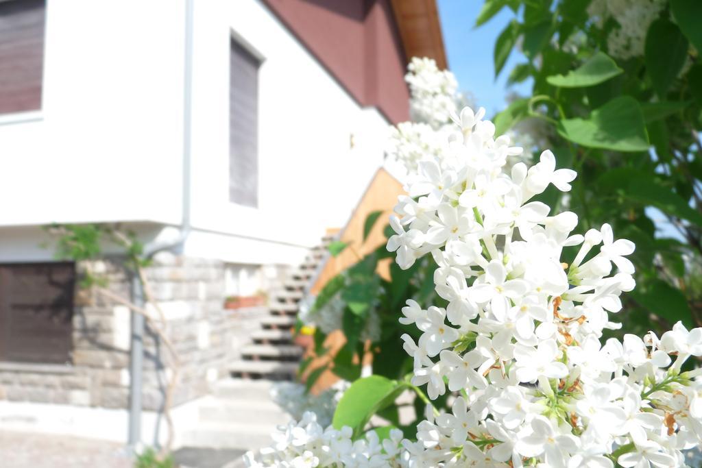 B&B Casa Sul Lago - Appartamenti Calceranica al Lago Extérieur photo